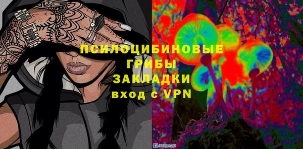 мдпв Бородино