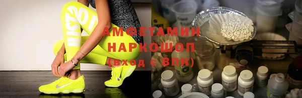мдпв Бородино