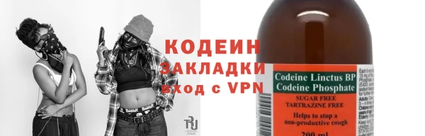 крисы Нягань