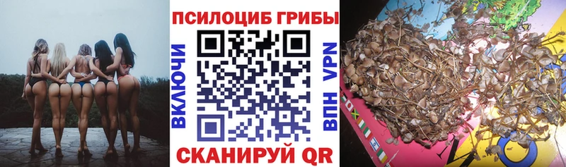 Галлюциногенные грибы GOLDEN TEACHER Вилюйск